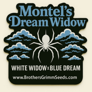 Montel's Dream Widow