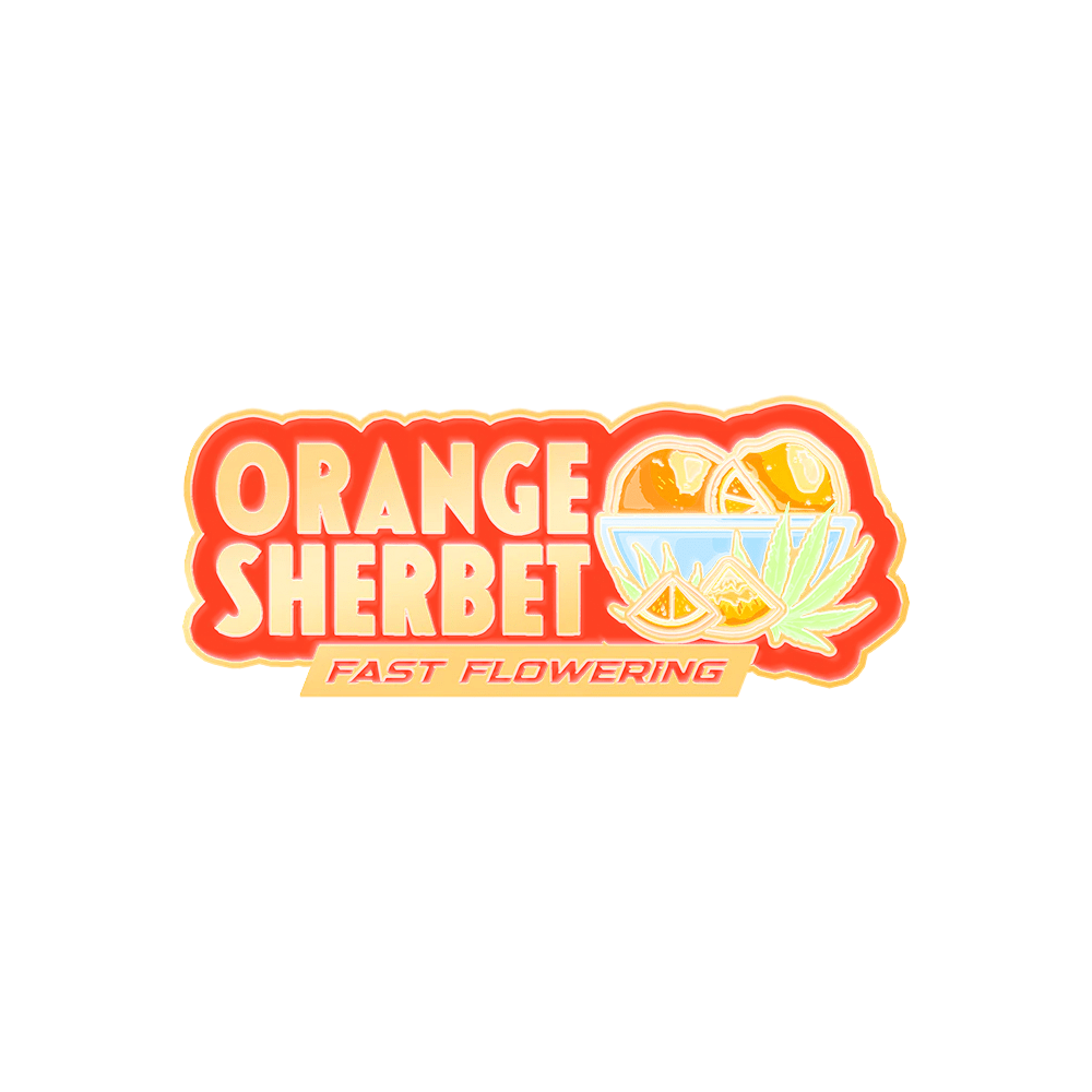 Orange Sherbet FF