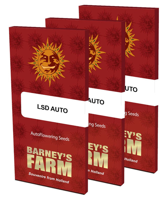 Barney's Farm LSD Auto