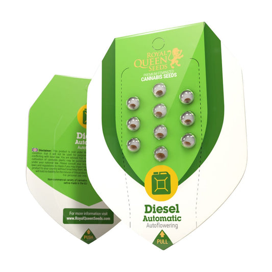 Royal Queen Seeds Diesel Automatic