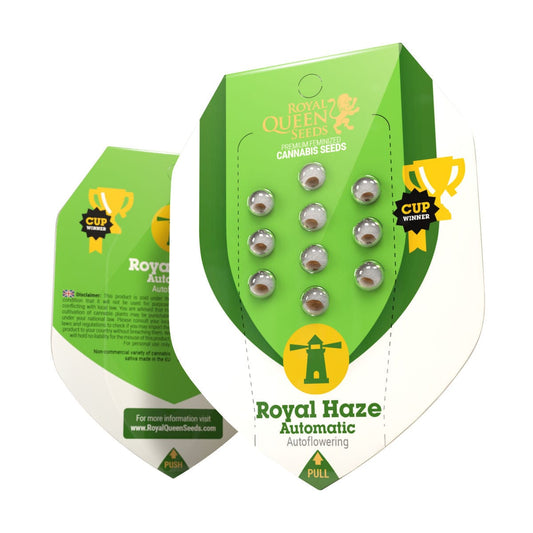 Royal Queen Seeds Royal Haze Auto