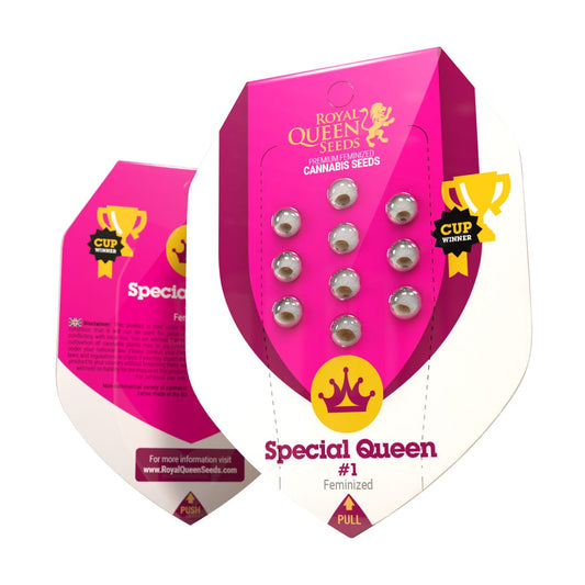 RQS Special Queen #1