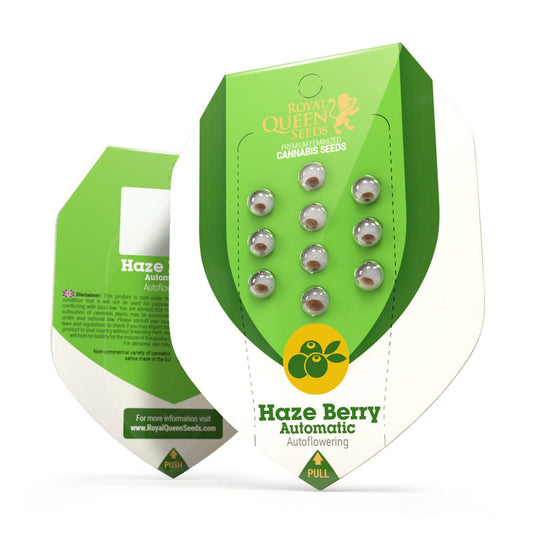 Royal Queen Seeds Haze Berry Automatic