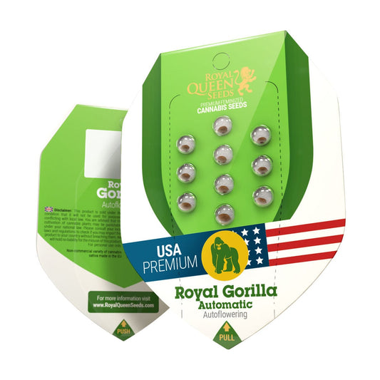 Royal Queen Seeds Royal Gorilla Auto