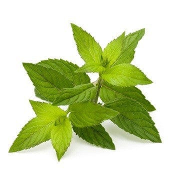 Piparminttu 15 g