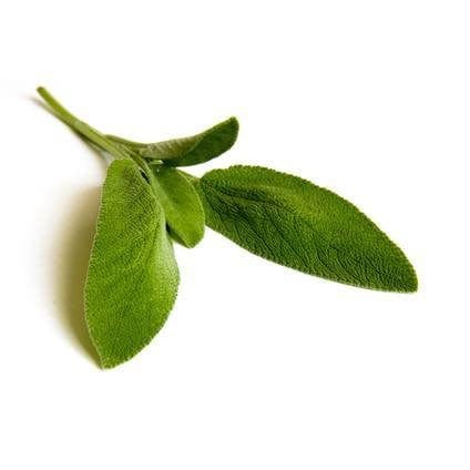 Salvia 15 g